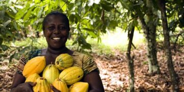 Ghana’s petroleum revenue climbs to $1.35 billion in 2024 despite output decline – Business Insider Africa