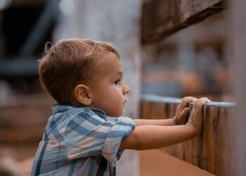 ‘The Light Switch’ Episode 4: Risk and rewards from the Angola Prison Rodeo – Louisiana Illuminator