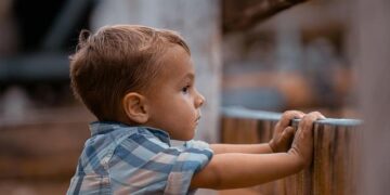 ‘The Light Switch’ Episode 4: Risk and rewards from the Angola Prison Rodeo – Louisiana Illuminator