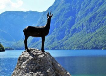 Why is Julian Assange flying to the remote Pacific island of Saipan? – Reuters