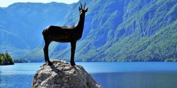 Why is Julian Assange flying to the remote Pacific island of Saipan? – Reuters