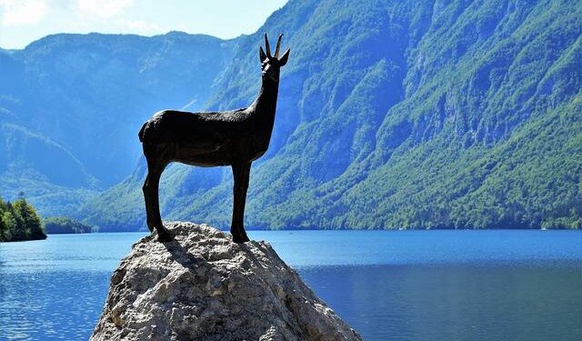 Why is Julian Assange flying to the remote Pacific island of Saipan? – Reuters