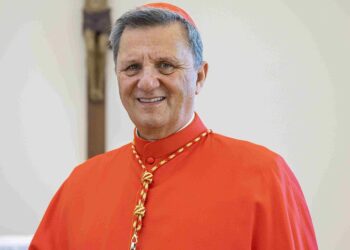 Papabile of the Day: Cardinal Mario Grech, the ‘Maltese Falcon’ full of surprises – Catholic Herald