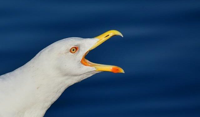 How Bill Maher and Larry David got a good idea terribly wrong. – Psychology Today