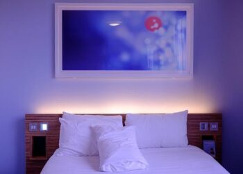 UNDP Seychelles Supports Small Hotels in Embracing Solar Energy for a Greener Future – United Nations Development Programme