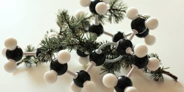 MAYER BROWN ADVISES MAURITANIA ON GREEN HYDROGEN LEGISLATION – Mayer Brown