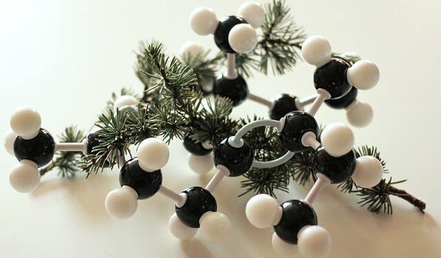 MAYER BROWN ADVISES MAURITANIA ON GREEN HYDROGEN LEGISLATION – Mayer Brown