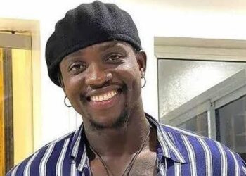 VeryDarkMan: Adeyanju cuts Gambia trip short, to visit EFCC Monday – The Guardian Nigeria News