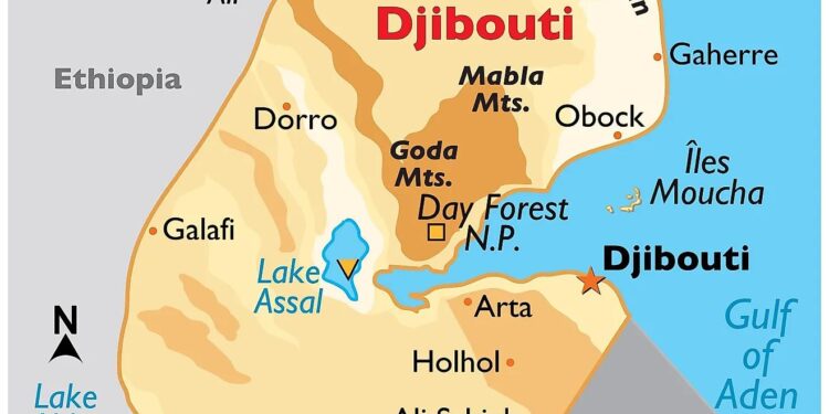 Djibouti’s Mahmoud Ali Youssouf elected as AU commission chairman – RFI