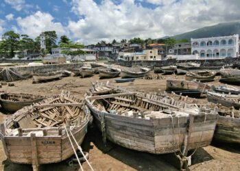Comoros to hold parliamentary elections on Jan. 12 – Reuters