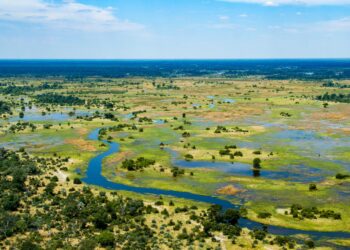 Botswana’s Debswana diamond sales fall over 50% in first nine months of 2024 – Reuters