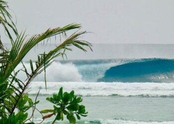 ‘A Full-on Point-Slab’: Inside the Tropical Right the Natural Selection Surfers Scored – SURFER Magazine