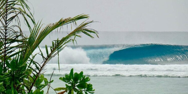 ‘A Full-on Point-Slab’: Inside the Tropical Right the Natural Selection Surfers Scored – SURFER Magazine