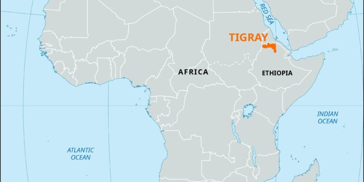 Tigray leader reports talks with archrival Eritrea – VOA – Voice of America English News