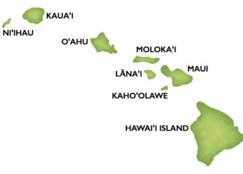 This Hawaiian island’s ‘freakosystems’ are a warning from the future – BBC