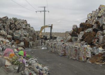 ‘No dumping ground’: Tunisia activist wins award over waste scandal – Northeast Mississippi Daily Journal