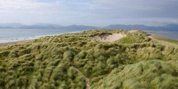 Ireland’s billion dollar ‘tax mirage’ could collapse under Trump’s administration – Newstalk