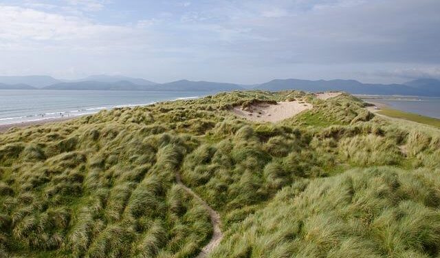 Ireland’s billion dollar ‘tax mirage’ could collapse under Trump’s administration – Newstalk