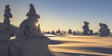 I spent a year living in Finland, the world’s happiest country. Here’s how it transformed my perspective on living – DMNews