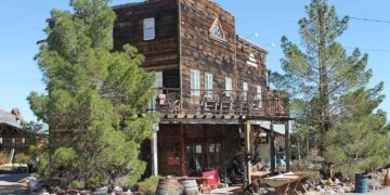 El Dorado Hills Studio Tour this weekend; Lavender Day coming to Folsom – Gold Country News