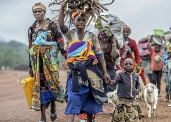 Congo and Rwanda submit draft peace proposal, Trump adviser says – MSN