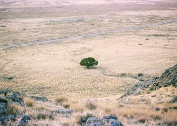 Botswana’s severe drought and the struggle to adapt – PreventionWeb.net