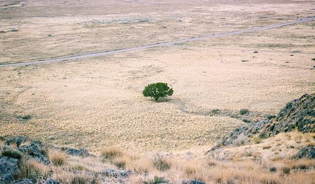 Botswana’s severe drought and the struggle to adapt – PreventionWeb.net