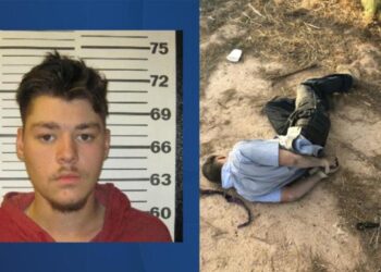 Fake kidnaps and real dangers of disinformation in Pacific Islands – Lowy Institute