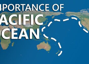 The big blue: Finding happiness deep in the Pacific – BBC