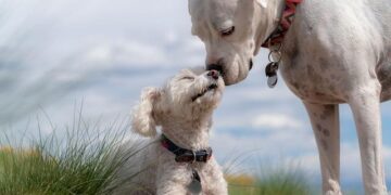 This charming capital is a perfect — and affordable — city break – The Times