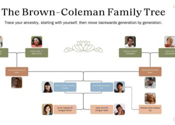 721 ‘family trees’ planted to celebrate 2024 births – Monaco Tribune