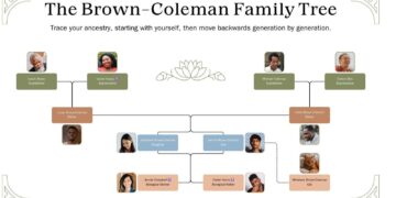 721 ‘family trees’ planted to celebrate 2024 births – Monaco Tribune