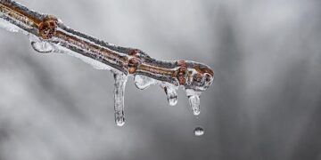 Projected changes in climate extremes over Tanzania – Nature