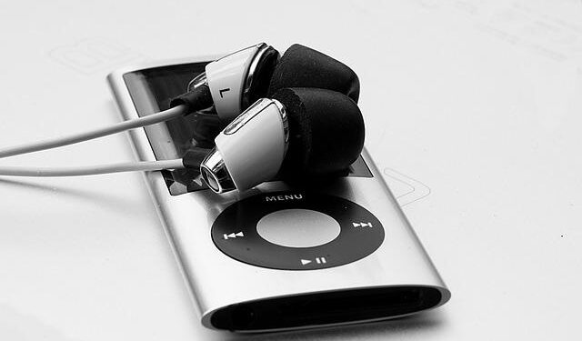 Estonian MPs pass bill to limit voting rights for Russian minority – France 24