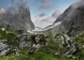 Austria’s Coalition Faces Reality Check – Bloomberg.com