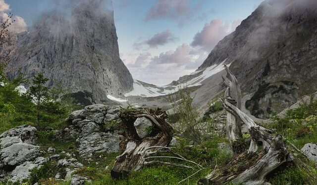 Austria’s Coalition Faces Reality Check – Bloomberg.com