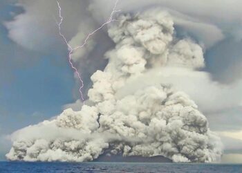 The Tonga Eruption Left Deep-Sea Life Buried in Ash – eos.org