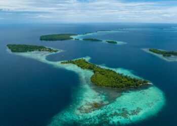 Solomon Islands landowners seek compensation over catastrophic oil spill – The Guardian