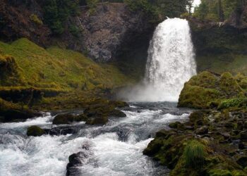 Oregon State baseball’s talent trumps Hawaii’s tricks – Honolulu Star-Advertiser