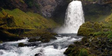 Oregon State baseball’s talent trumps Hawaii’s tricks – Honolulu Star-Advertiser