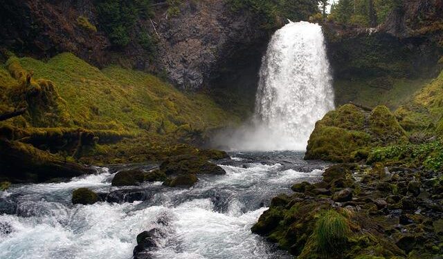 Oregon State baseball’s talent trumps Hawaii’s tricks – Honolulu Star-Advertiser