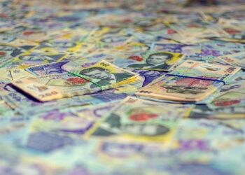 Romanian nationalist and Trump fan George Simion wins first round of presidential vote – France 24