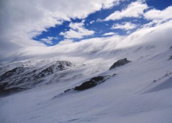 Sierra Leone Eyes Top Spot As Zambia Fights For Survival – Evrim Ağacı