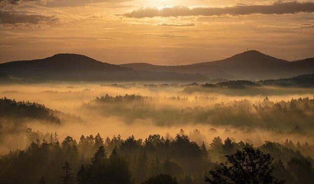 Czech Republic Ukraine – guardonline.com