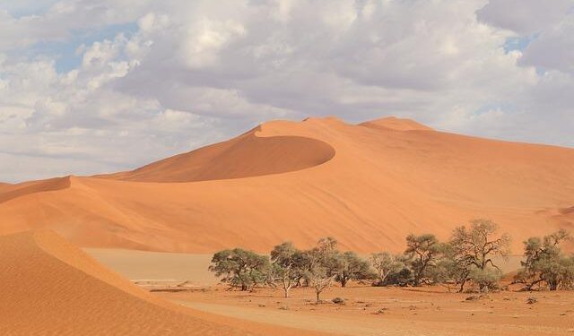 Namibia’s President ordered the deportation of over 500 Americans- Is it true? – Times of India