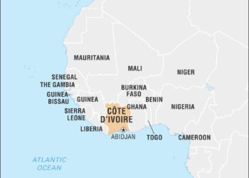 Ivory Coast court strikes Thiam’s name off electoral roll over French nationality – Reuters