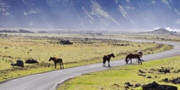 Ancient people of Easter Island made return trips to South America – New Scientist