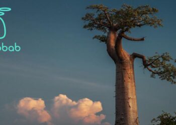 Bayobab interconnects Uganda and Kenya with new fibre route – Developing Telecoms