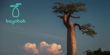 Bayobab interconnects Uganda and Kenya with new fibre route – Developing Telecoms