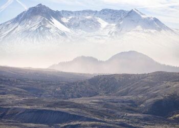 Maine now has an official state dog – newscentermaine.com